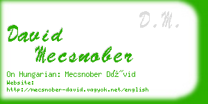 david mecsnober business card